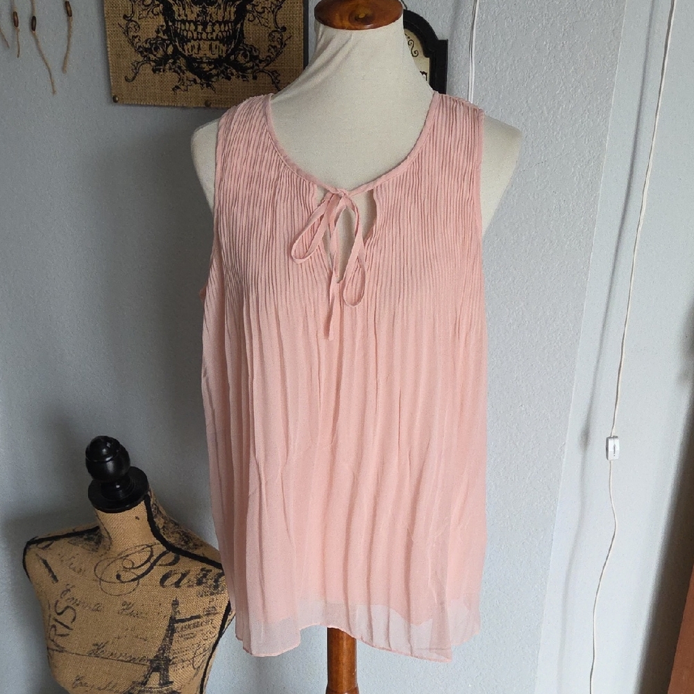 Sanctuary Chalk Pink Pleated Top